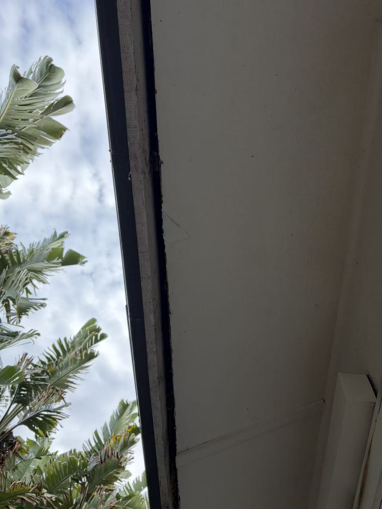 Prepared exterior timber section during a repair