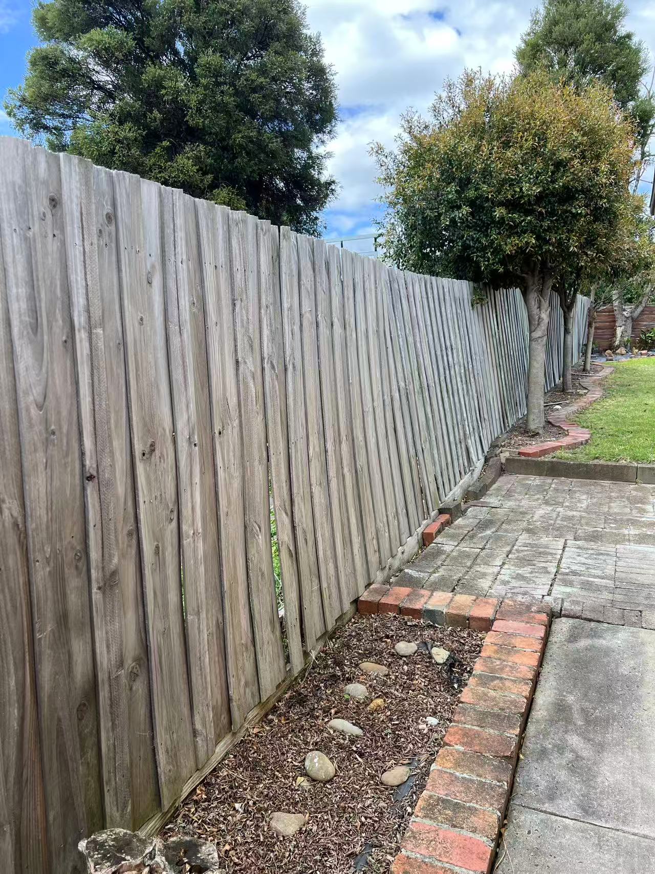 Renewed timber boundary fence in a Melbourne backyard